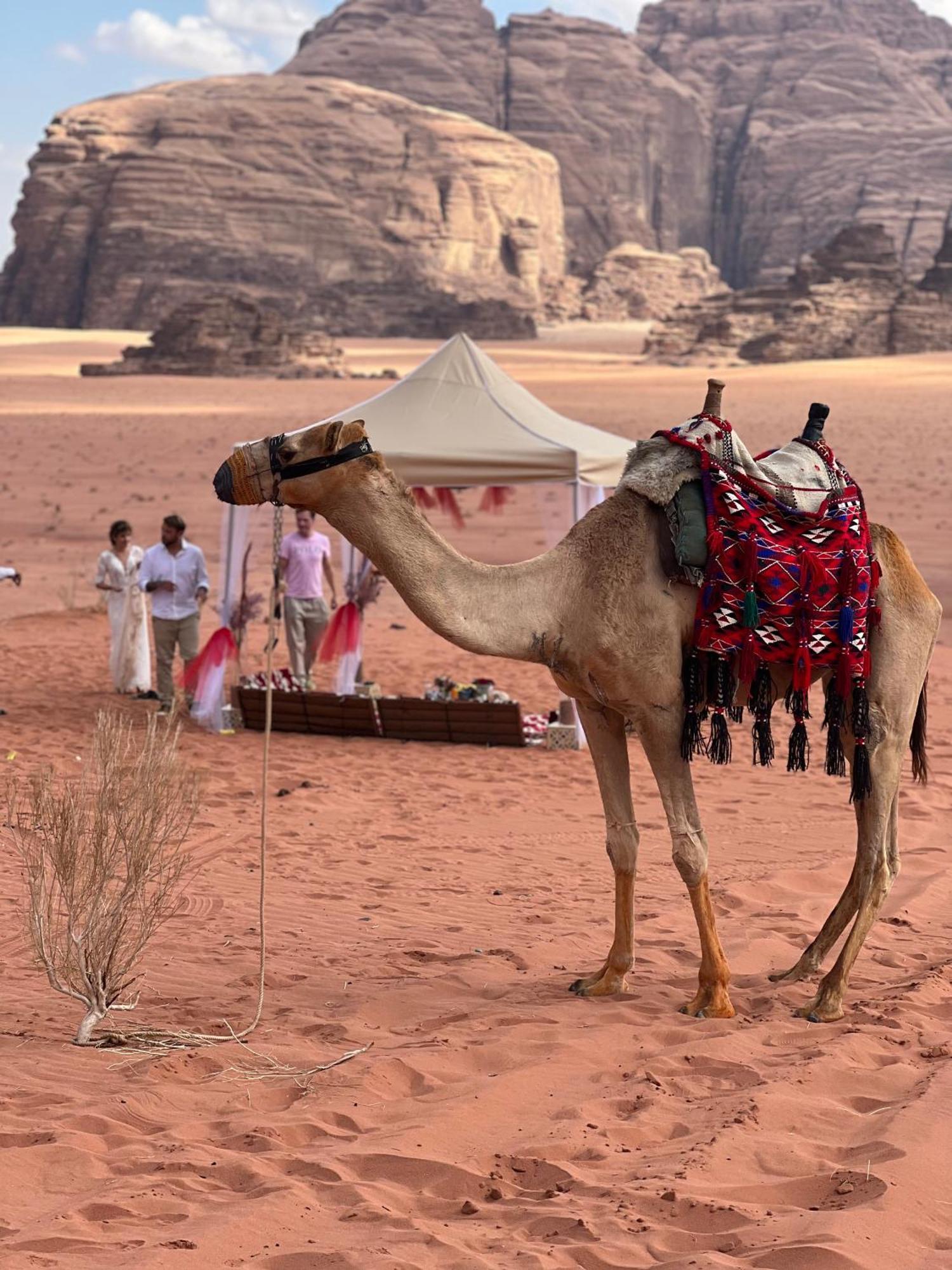 شقة Moon Magic Valley وادي رم المظهر الخارجي الصورة